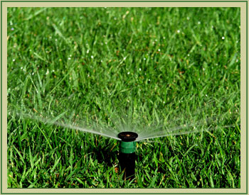 Rodden Landscape company Irrigation services