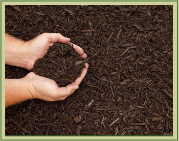 Rodden Landscape Company Mulching, planting, digging, irrigation, landscaping services commercial landscaping, residential landscaping